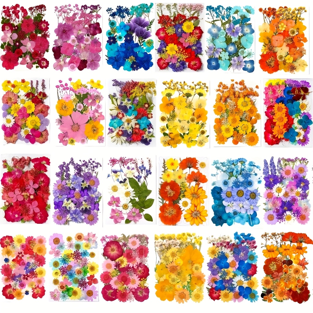 500pcs of Random Materials for - đánh giá và giá Resin Art Frame