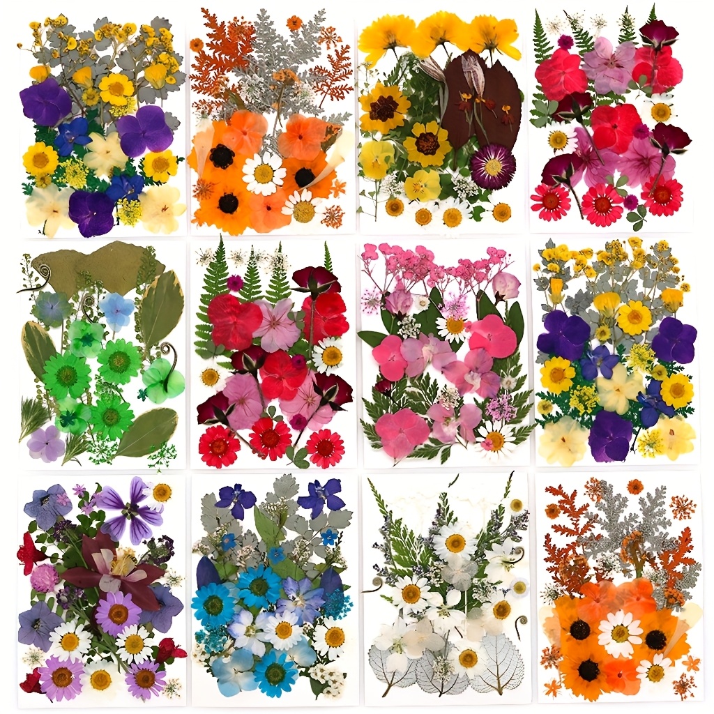 500pcs of Random Materials for - đánh giá và giá Resin Art Frame